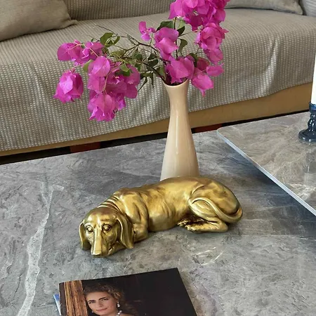 Castle Tatil Evi